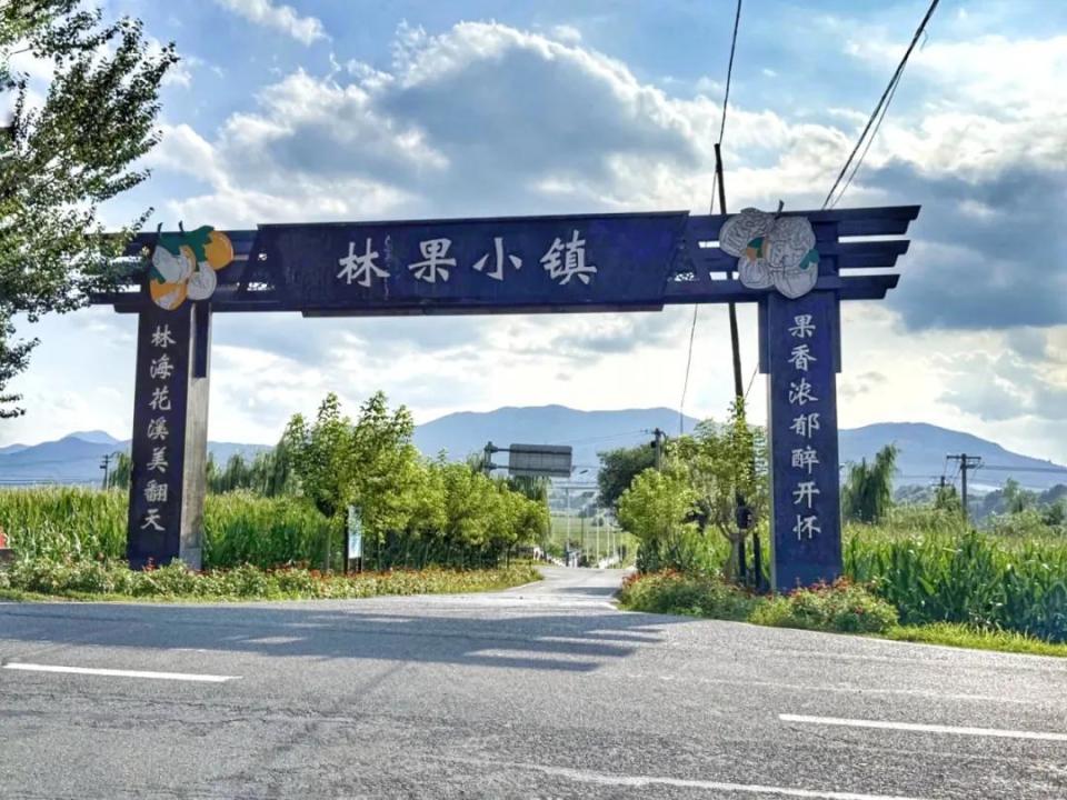 体验乡村马