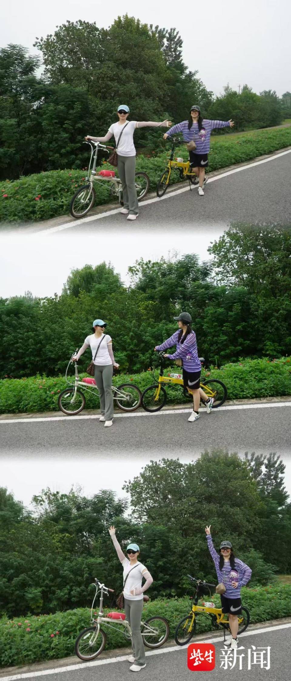 成员, https 成员, https