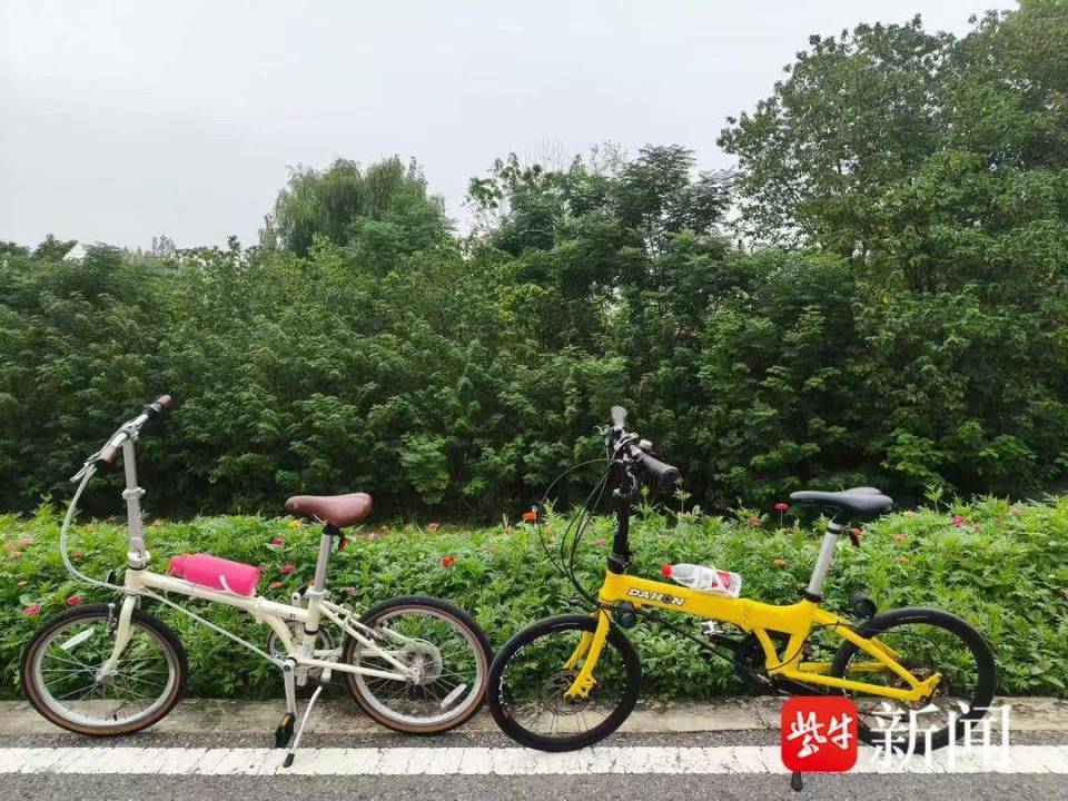 数量呈现逐, 江心洲也是, 辆爱车换着 数量呈现逐, 江心洲也是, 辆爱车换着